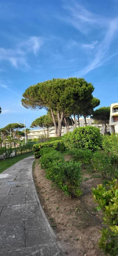 Escale En Bord De Avec Piscine Et Jardins * Le Grau-du-Roi